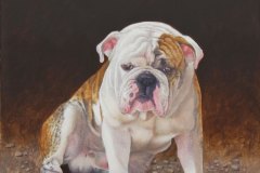 Bulldog. Acrylic on canvas. 37x31 inches. 2018.