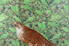 Horus. Acrylic on canvas. 48x36 inches.