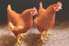 Helen and Clytemnestra. Acrylic on canvas. 42x32 inches.