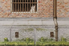 Cat and swans. Watercolor on Fabriano paper. 20.5x15 inches. 2025.