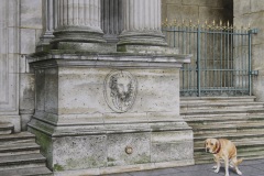 Untitled. Watercolor on Arches paper. 20x15 inches.. 2025.