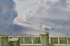 "Waiting for the storm." Watercolor on paper. 13x11 inches. 2026.