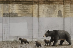 "Three little bears." Watercolor on Fabriano Classico paper. 20x16 inches. 2026.